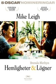 watch Hemligheter & lögner now