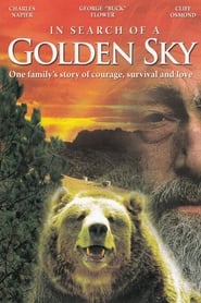 Poster In Search of a Golden Sky