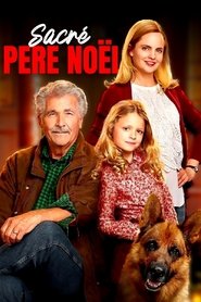 Sacré Père Noël streaming