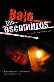Bajo los escombros (2005)