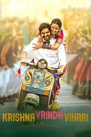 Krishna Vrinda Vihari (2022) Hindi Dubbed UNCUT