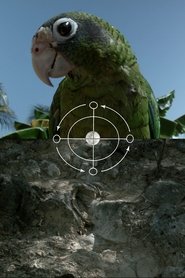 Poster for The Sea is History