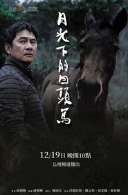 Poster 月光下的回頭馬