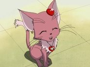 Chocola turns into a Cat!?