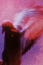 Poster Long Eyes of Earth 1991