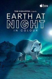 Earth at Night in Colour