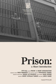 Prison: A Short Introduction (2019)