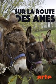 Poster Sur la route des ânes 2018