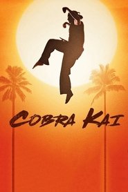 Cobra Kai Cobra Kai
