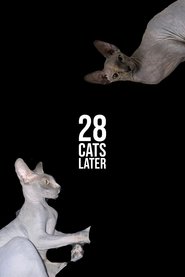 28 Cats Later (2025)