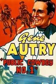 Public Cowboy No. 1 (1937)