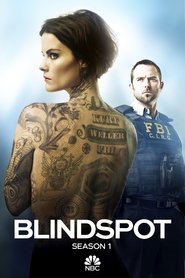 Blindspot - Season 1 Episode 1 : Pilot