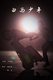 Poster Baima Boy 