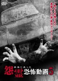 Real Vengeful Ghost Horror Video 5 (2014)
