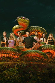 The Snake постер