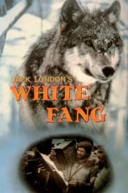 White Fang постер