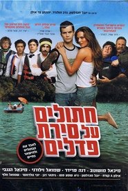 Poster חתולים על סירת פדלים