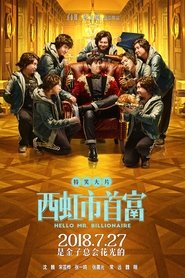 Hello Mr. Billionaire (2018) Movie Download & Watch Online BluRay 480P & 720P