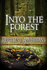 Into the Forest: Reptiles & Amphibians streaming