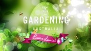 Episode 10 Easter Special