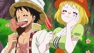 A Mysterious Forest Full of Candies - Luffy vs. Luffy!?