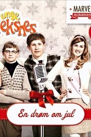 Den unge Fleksnes (2010) Den unge Fleksnes (2010)