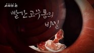 Episode 24