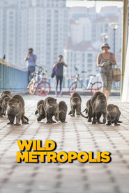 Wild Metropolis постер