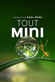 Tiny World Season 1 24