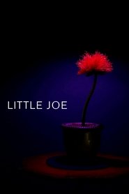 Little Joe - Glück ist ein Geschäft