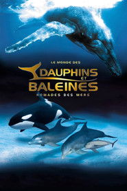 IMAX Dauphins et baleines : Nomades des mers