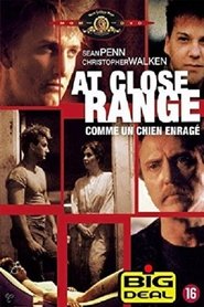 Regarder Comme un chien enragé 1986 en Streaming VF Gratuit