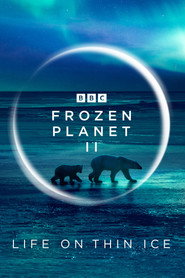 Frozen Planet II poster