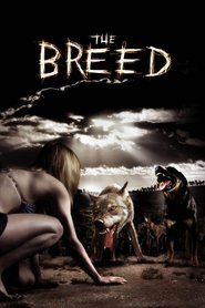 Voir The Breed en streaming vf gratuit sur streamizseries.net site special Films streaming