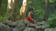 Le Livre de la Jungle 