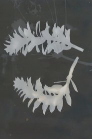 With Silver Bells