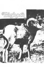 Big Horn