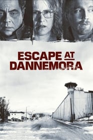 Втеча з в'язниці Даннемора постер