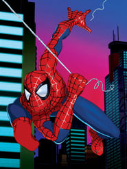 Spider-Man: The New Animated Series poster