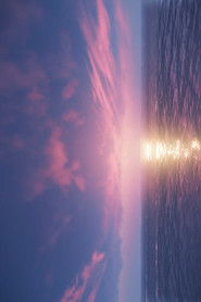 Tsushima Fiction (2020)