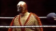 Madison Square Garden: Dec. 19, 1977