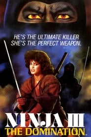 Ninja III: The Domination постер