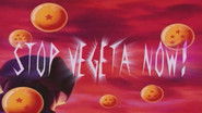 Stop Vegeta Now!