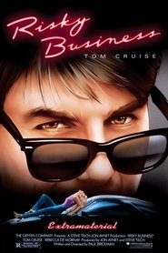 Risky Business (MKV) Español Torrent