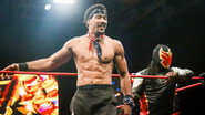 ROH on HonorClub Episode 184