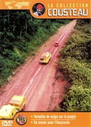 Poster The Cousteau Collection N°19-1 | Amazon: Snowstorm in the Jungle 1984