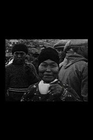 Flowers and Coffee Party at Umanak