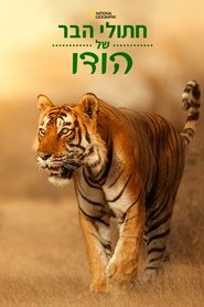 חתולי הבר של הודו