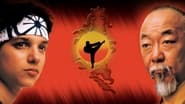 Karate Kid II - La storia continua...