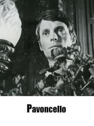 Poster Pavoncello